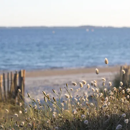 Holiday L'oustalet By Interhome Holiday home Carnac